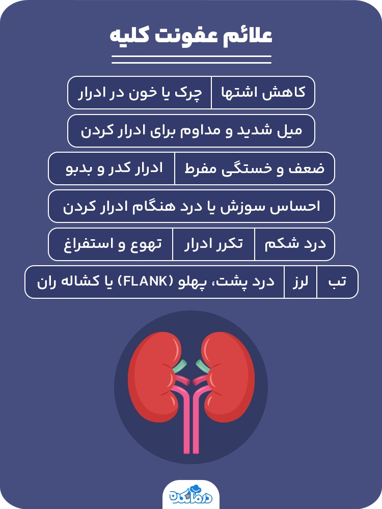  اینفوگرافیک علائم عفونت کلیه