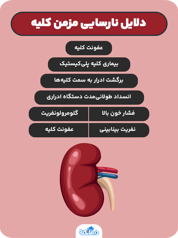 اینفوگرافی درباره دلایل نارسایی مزمن کلیه