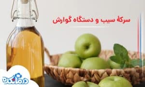 سرکه سیب و دستگاه گوارش