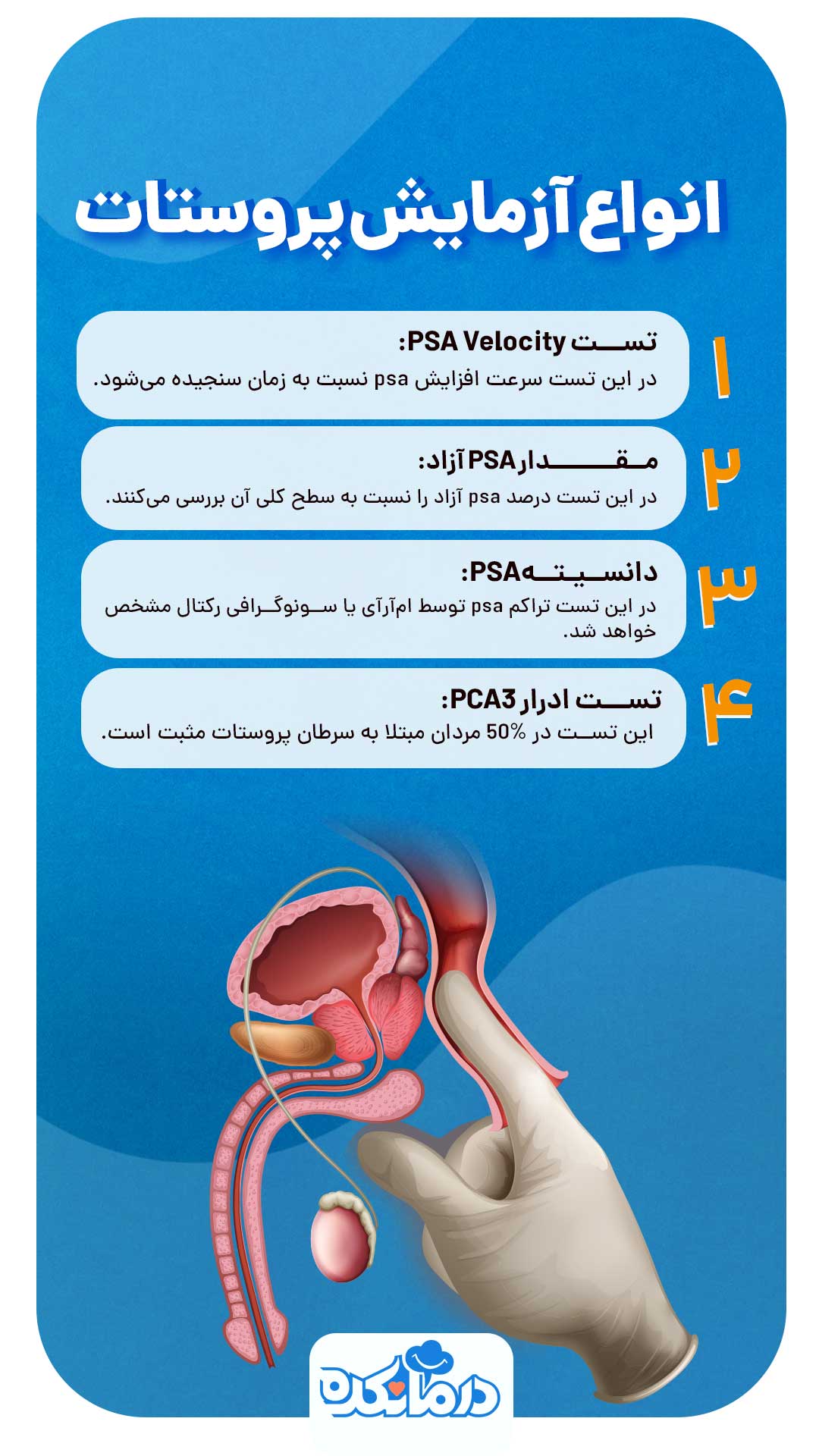 آزمایش پروستات چیست؟ تفسیر آزمایش PSA، انواع و مقدار نرمال