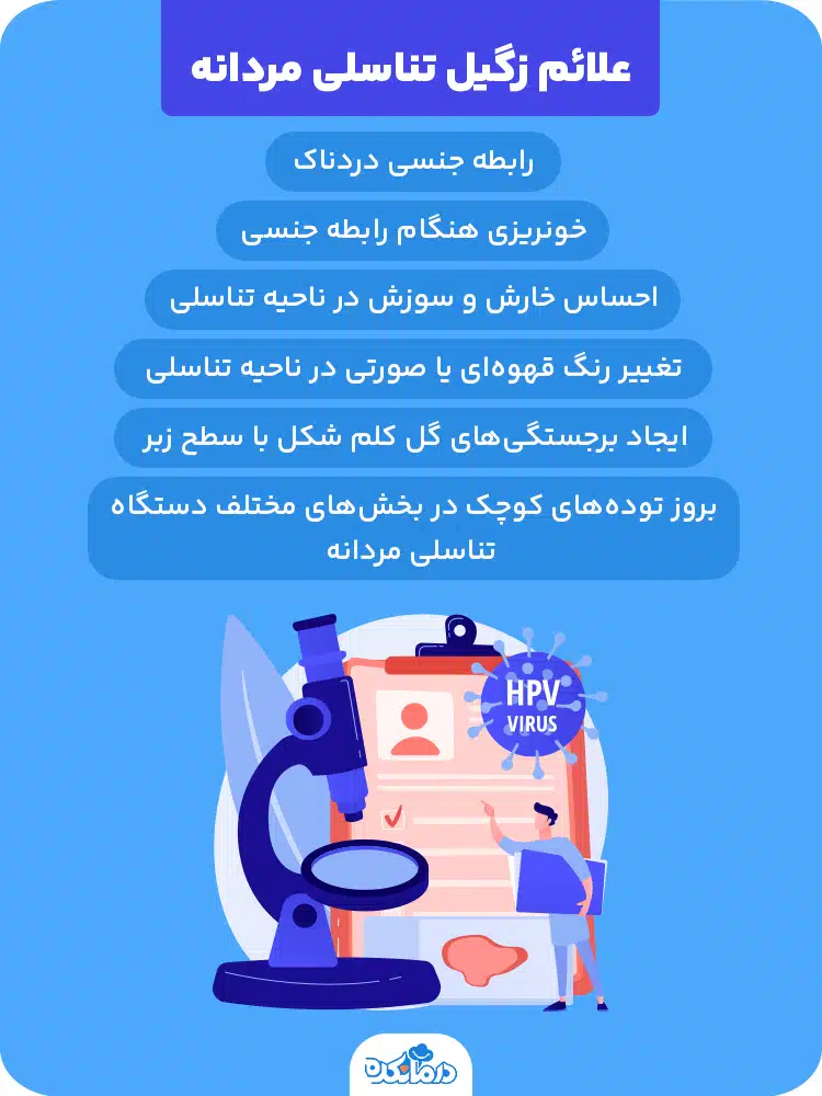 اینفوگرافیک علائم زگیل تناسلی مردانه