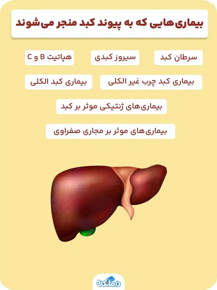 اینفوگرافی درباره بیماری‌هایی که به پیوند کبد منجر می‌شوند