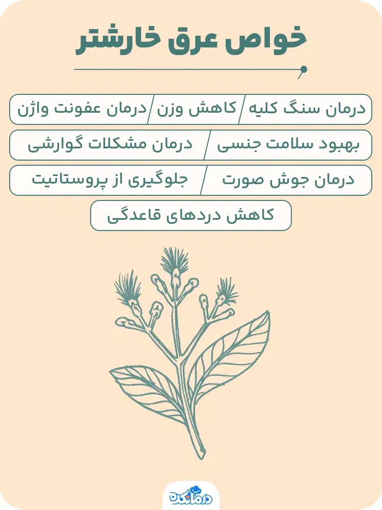 اینفوگرافی خواص عرق خارشتر.
درمان سنگ کلیه، کاهش دردهای قاعدگی، جلوگیری از پروستاتیت، کاهش وزن، درمان عفونت واژن، بهبود سلامت جنسی، درمان مشکلات گوارشی، درمان جوش صورت.