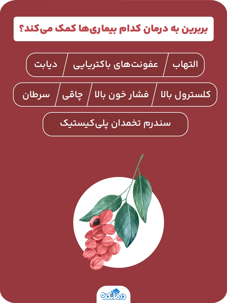 اینفوگرافی درباره خواص بربرین 