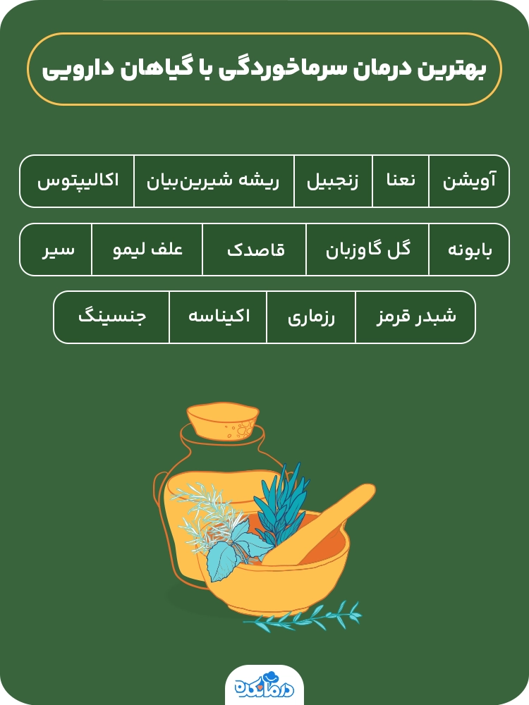 اینفوگرافی بهترین درمان سرماخوردگی با گیاهان دارویی