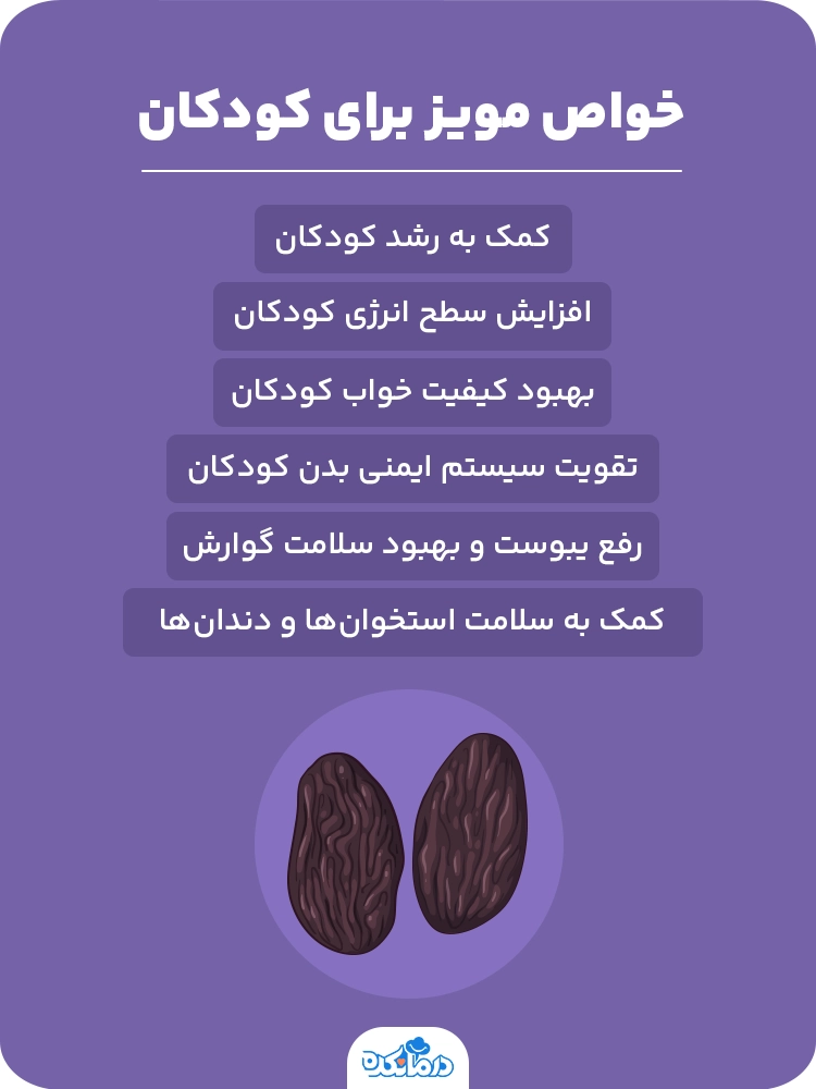 اینفوگرافیک خواص مویز برای کودکان