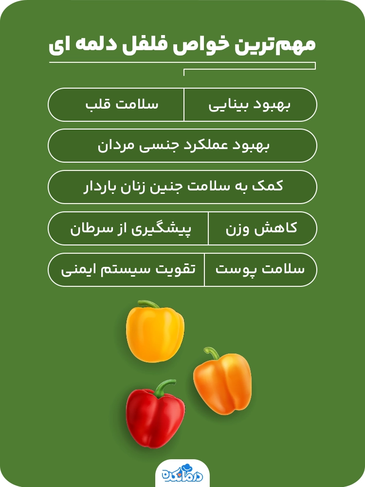 اینفوگرافیک مهم‌ترین خواص فلفل دلمه ای 