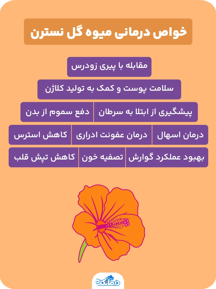 اینفوگرافیک خواص درمانی میوه گل نسترن