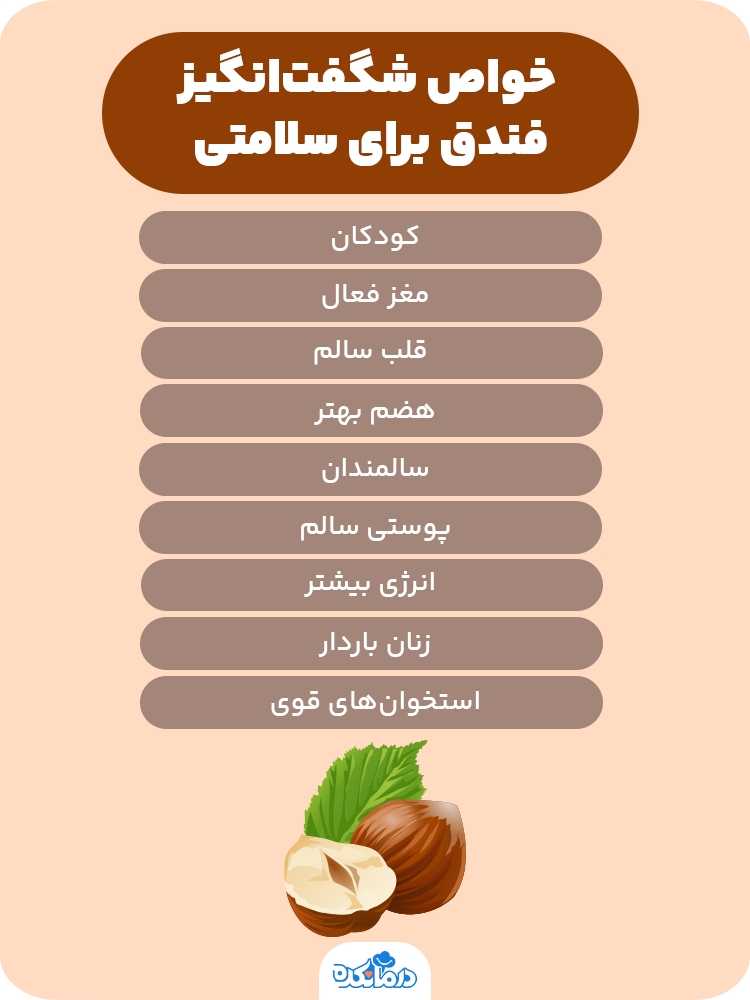 اینفوگرافیک خواص فندق برای سلامتی