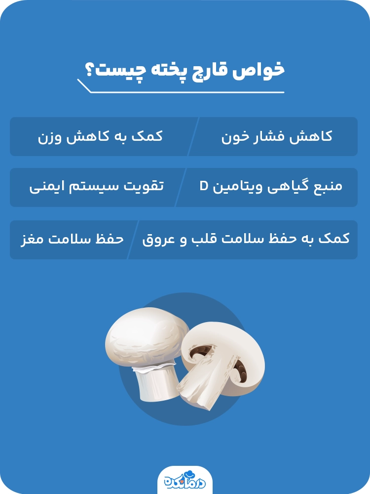 اینفوگرافیکی که خواص قارچ پخته را نشان می‌دهد.