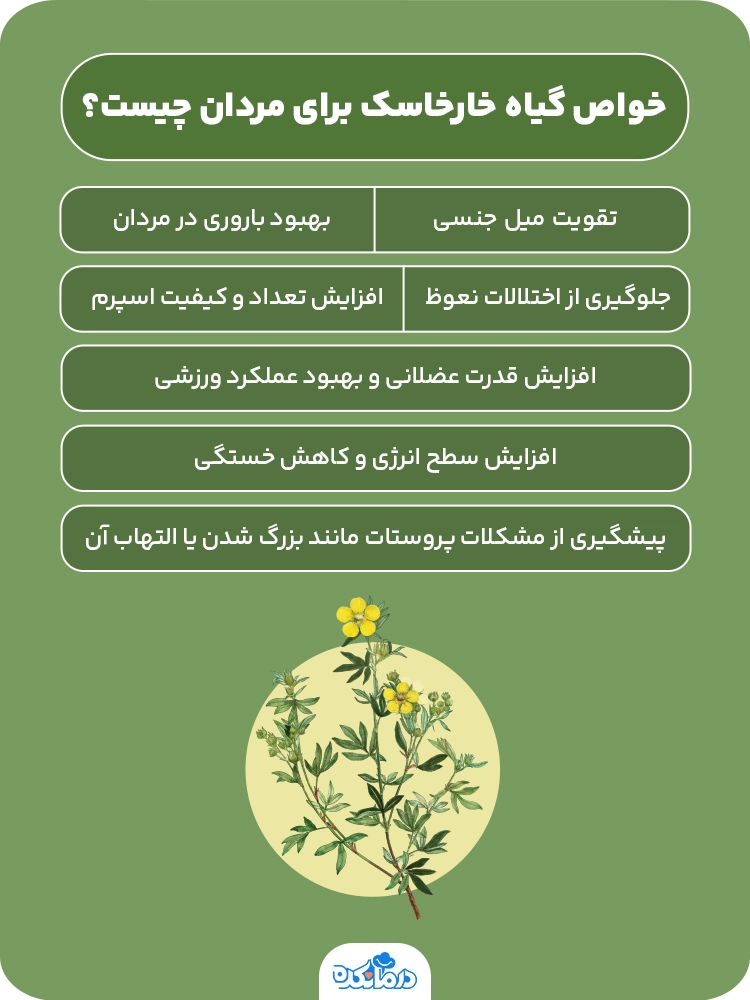 اینفوگرافیکی که خواص گیاه خارخاسک برای مردان را نشان می‌دهد.