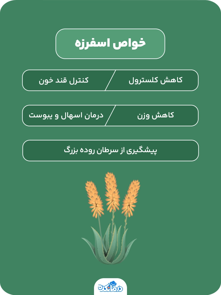 اینفوگرافی در مورد خواص اسفرزه