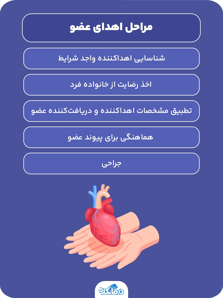 اینفوگرافی در مورد مراحل اهدای عضو