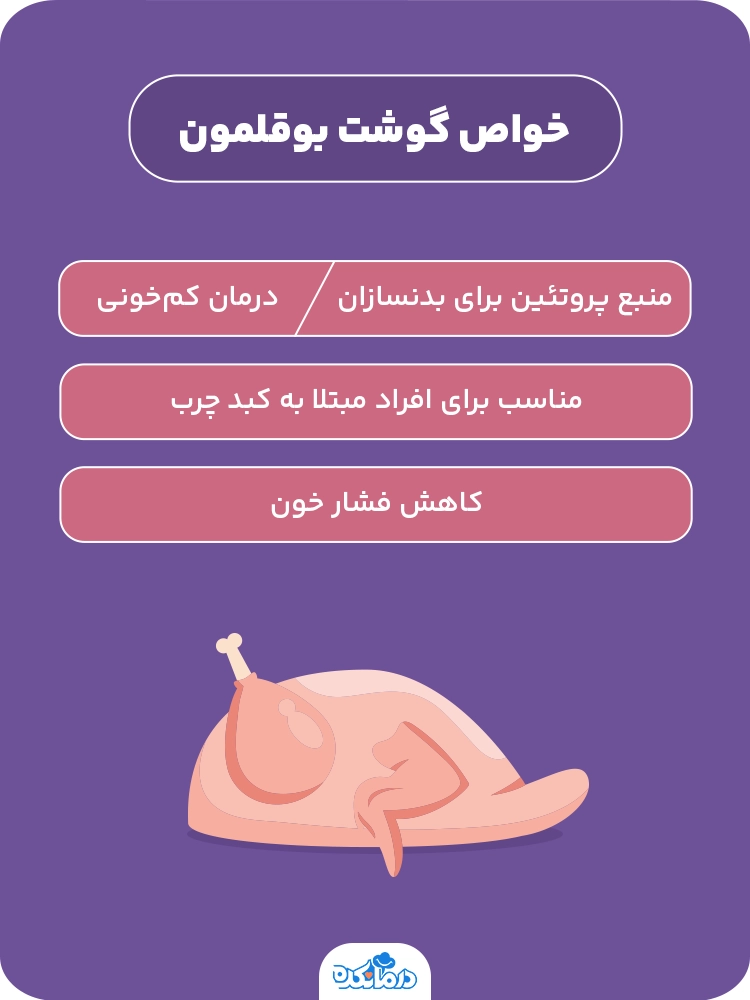 اینفوگرافی خواص گوشت بوقلمون