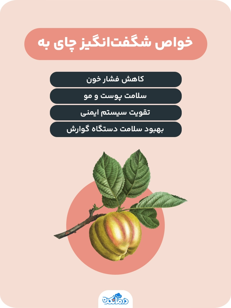 اینفوگرافی خواص شگفت‌انگیز چای به