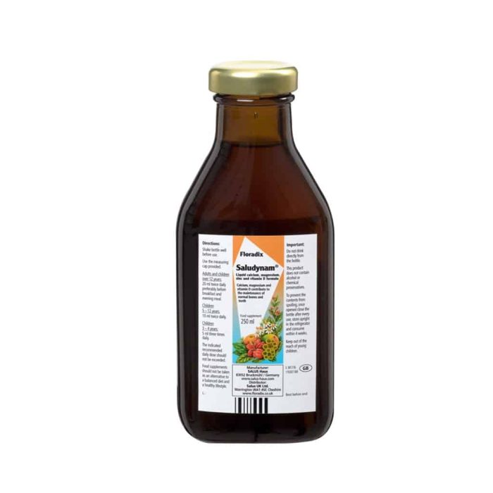 Floradix saludynam Syrup 250 ml