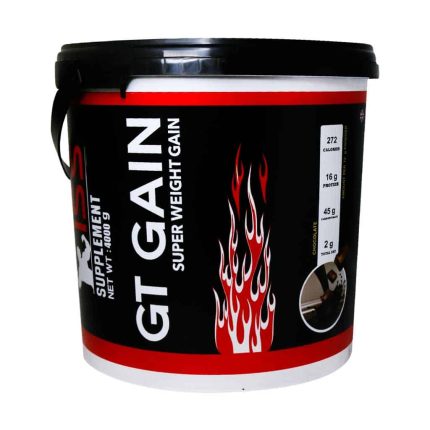 Iss Gt Gain Powder 4000