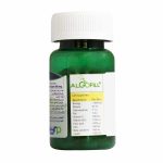 Nik Paya Algofill Chlorella Vulgaris 100 Tabs 1