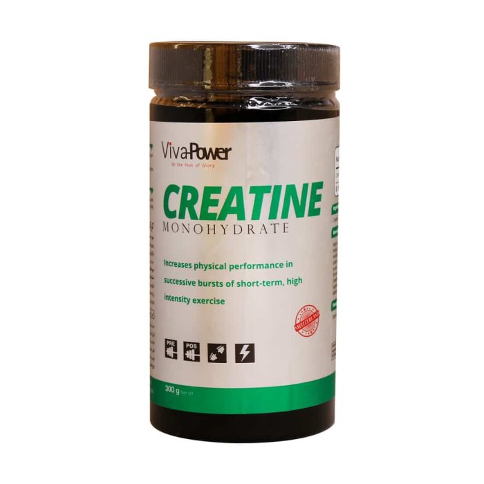 Viva Power Creatine Monohydrate Powder 300