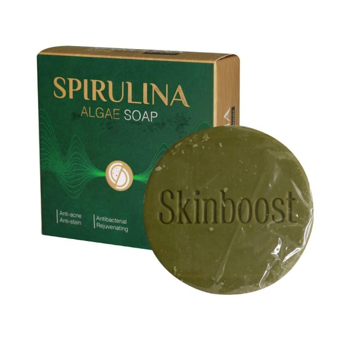 Zarin Ourman Darou Spirulina Alage Soap 100 g 1